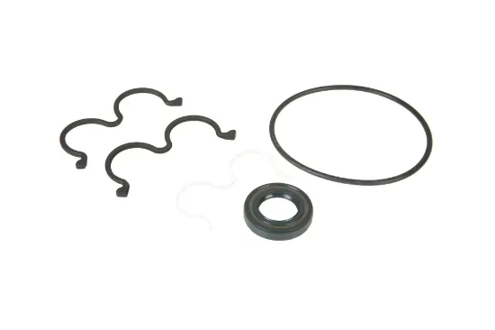 Slika Hydraulic pump seals 0011300070