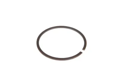 Slika AGCO Differential Expansion Ring 002051470