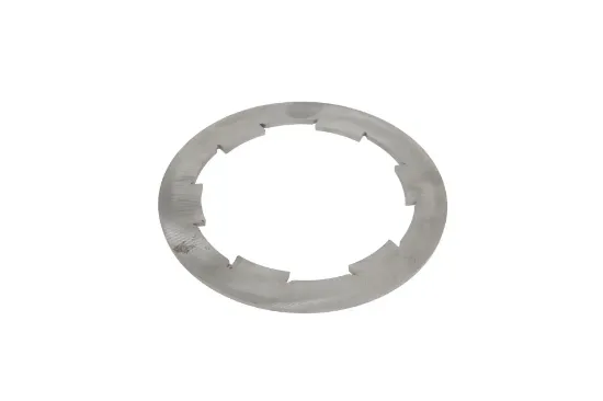 Slika Friction disc 100.012