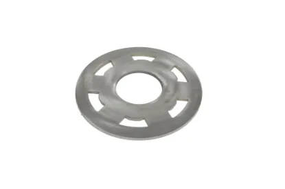 Slika Friction disc 100.013