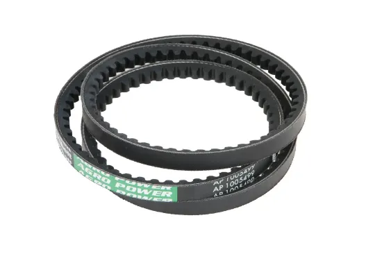 Slika V-belt 1005499.01