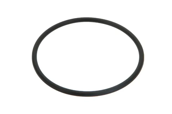 Slika O-ring 72,62 x 3,53 mm 1009659M1