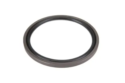 Slika Sealing ring 100X84.5X6.GER