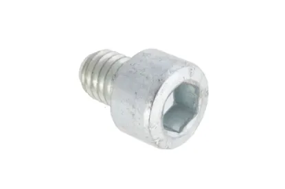 Slika Allen screw M6 X 8 1442871X1