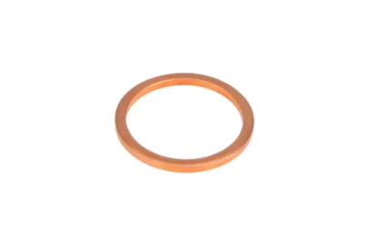 Slika Sealing ring 18 x 22 x 1,5 1442936X1