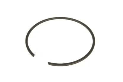 Slika Expansion ring R80 1443552X1