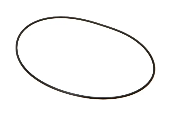 Slika O-ring 1610232M1