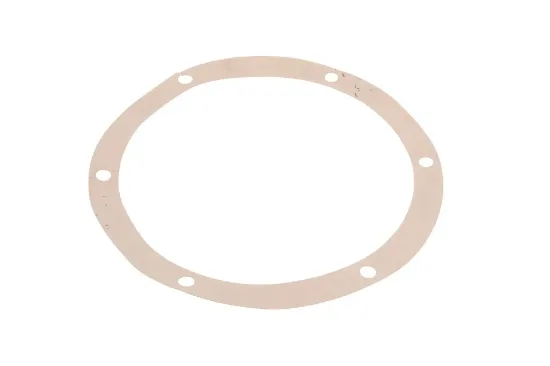 Slika Gearbox housing gasket 1610935M1