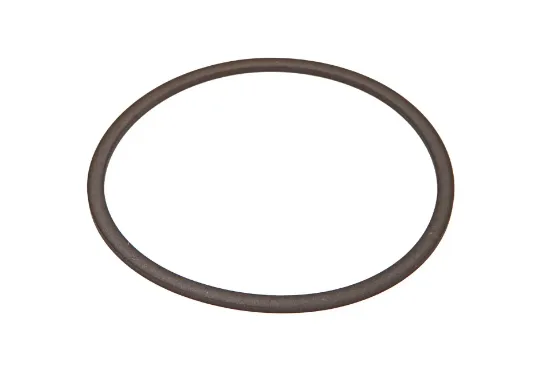 Slika Teflon ring 1611675M1