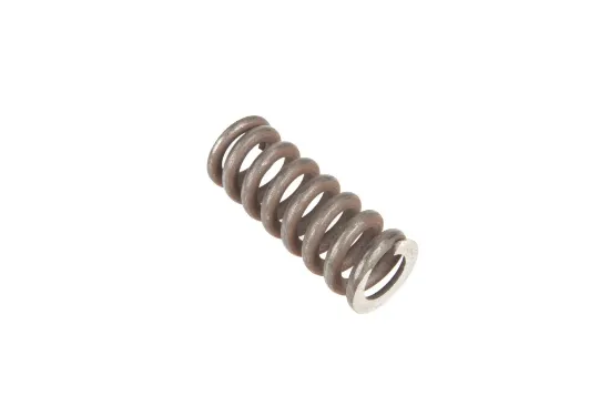 Slika Gearbox spring 1613099M1