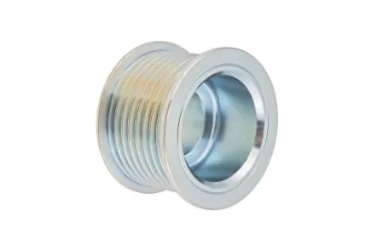 Slika Alternator pulley 165F404900010010
