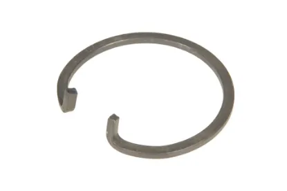 Slika Differential locking ring 1662726M3