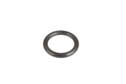 Slika Oil seal 10 x 25 x 6 1850980M1