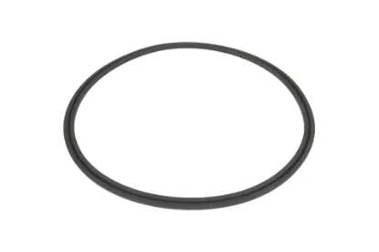 Slika AGCO 199110010140 sealing ring