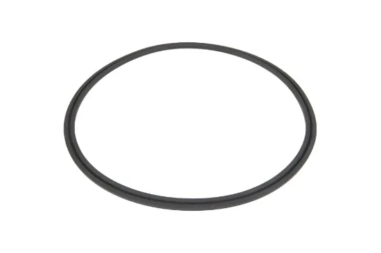 Slika AGCO 199110010140 sealing ring