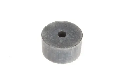 Slika Front grill bushing 205500020120