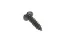 Slika Screw 10 x 16 3005728X1