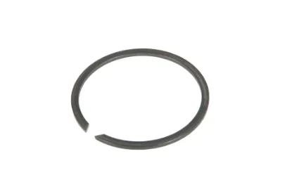 Slika Expansion ring 3006803X1