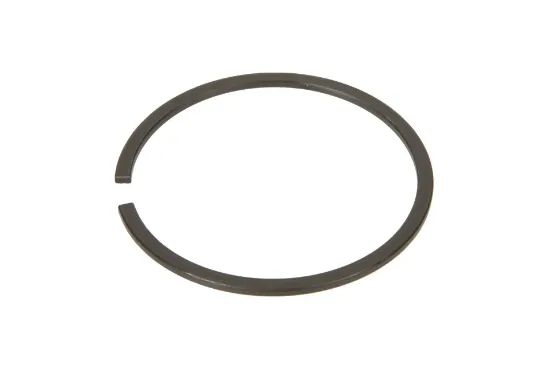 Slika Gearbox snap ring 3010138X1