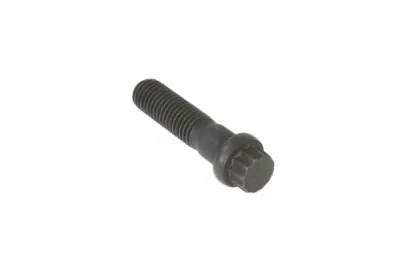 Slika Screw M14 x 2,0 x 55 3010426X1