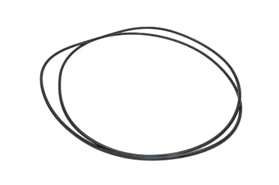 Slika O-ring 3010465X1