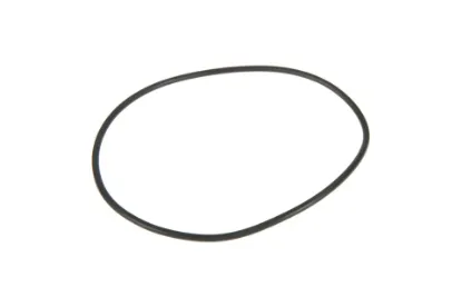 Slika O-ring R89,5 x 2,5 3014711X1