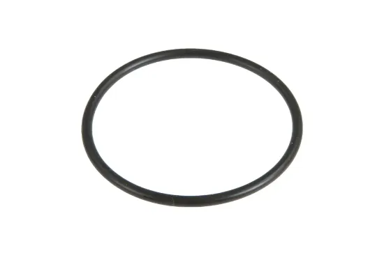 Slika O-ring R 2,62 X 47,29mm 3019943X1