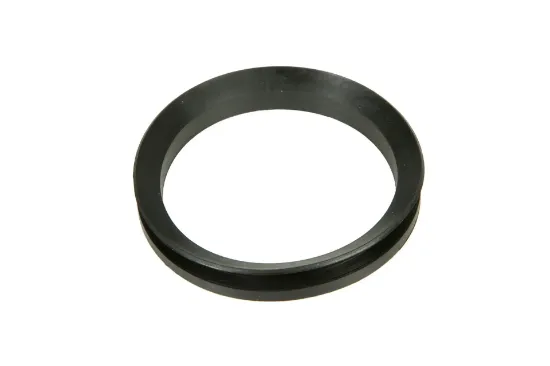 Slika Sealing ring 45 x 55 x 5,5/9 mm 3019969X1