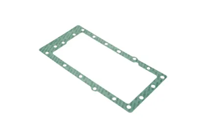 Slika Gearbox gasket 312100050050