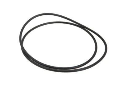 Slika O-ring replacement 3380351M1