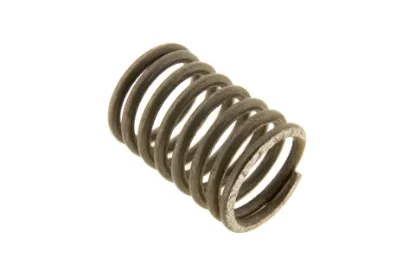 Slika Gearbox shaft spring 3382828M1