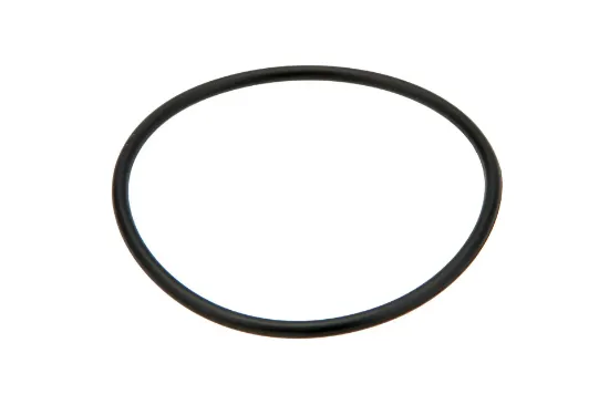 Slika O-ring 55 x 2,5 338855X1