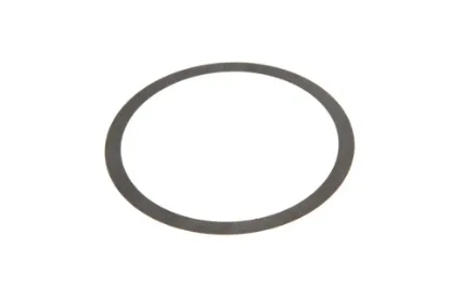 Slika Spacer 0,15mm 3429078M1