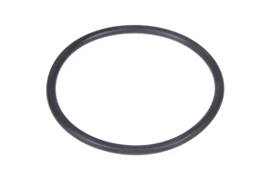 Slika Rear linkage sensor o-ring 359138X1