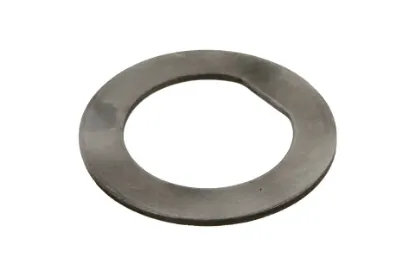 Slika Gearbox shaft washer 3613276M1