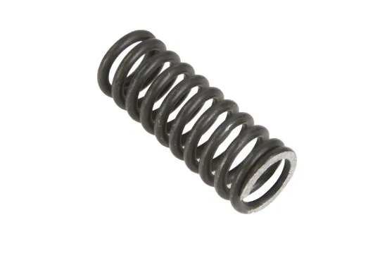 Slika Gearbox spring 3615346M1