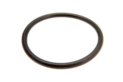 Slika O-ring 21,95 x 1,78 mm 365470X1