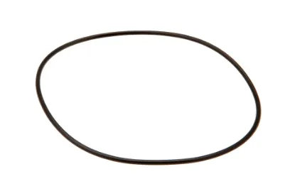 Slika O-ring 72,75 x 1,78 mm 366543X1