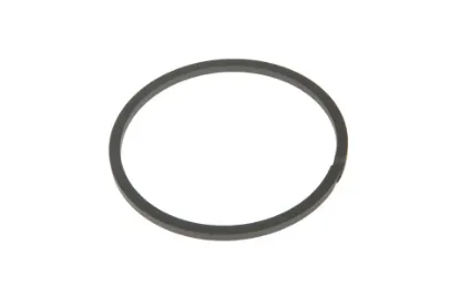 Slika Seal ring 3699126M2