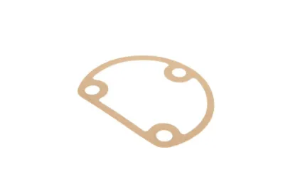 Slika Gearbox gasket 3771837M1