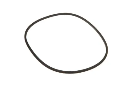 Slika O-ring 3779320M2