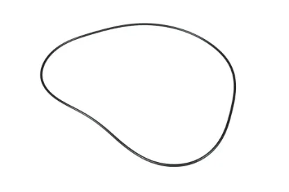 Slika Powershift transmission o-ring 253,59 x 3,53 378290X1