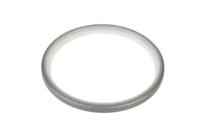 Slika Seal ring 3785154M1