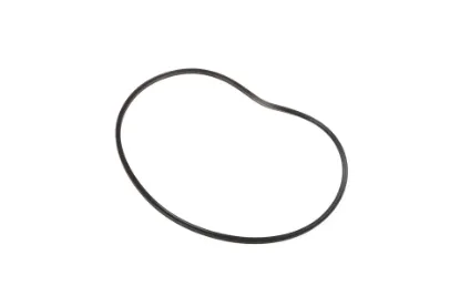Slika Clutch basket sealing ring 3799707M2