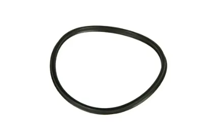 Slika Seal ring 3801428M1