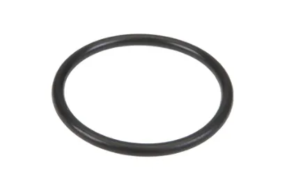 Slika Front drive attachment O-ring 3807877M1