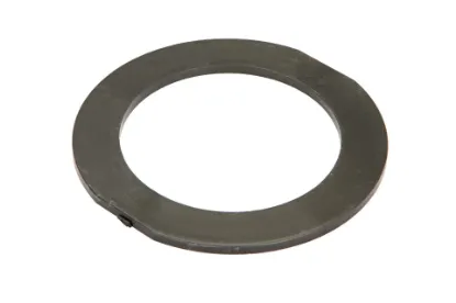 Slika Rear lifter shaft ring 3810998M1