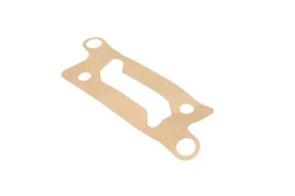 Slika Gearbox gasket 3816530M1