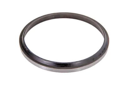 Slika Rear linkage cylinder scraper ring 3900128M1