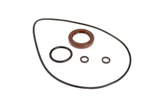 Slika Set of sealing rings for hydraulic pump 3902614M91